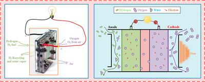 Parameter Identification for Solid Oxide Fuel Cell Models: Crucial Comments